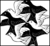 Escher-birds