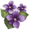 violet