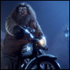 a userpic